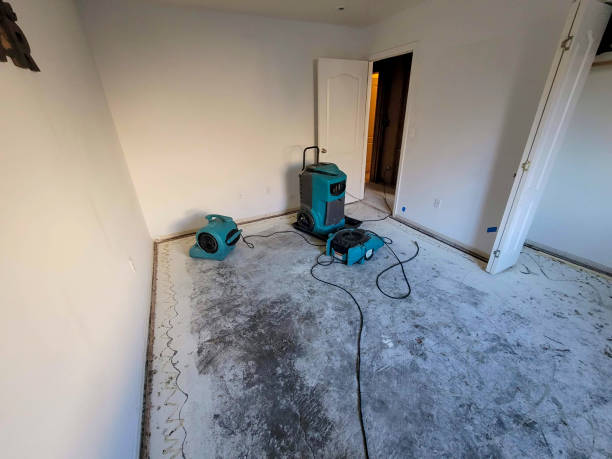 Best Flood restoration services  in Hazlehurst, MS