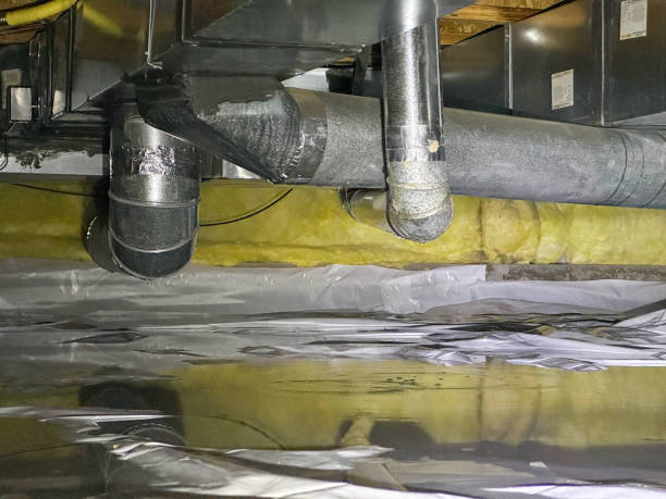 Best 24-hour water damage restoration  in Hazlehurst, MS